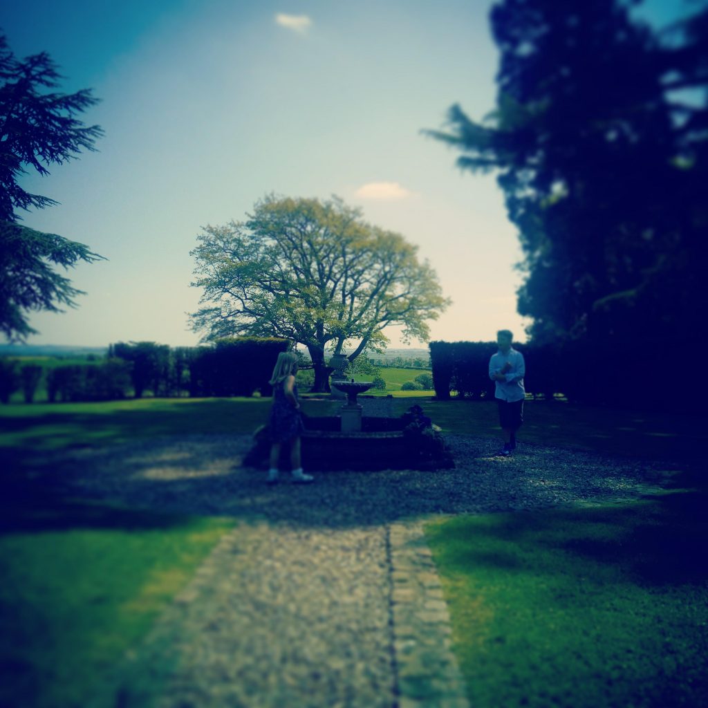 landscape gardening ecological leicester leicestershire specialist ecoligical organic consultation landscaping garden design wildflowers