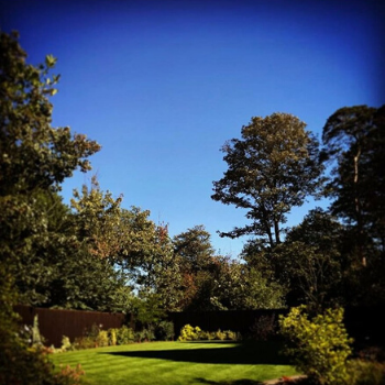 leicestershire ecological gardeners landscapers tree care fencing green FSC organic bee wildlife meadows trees planting